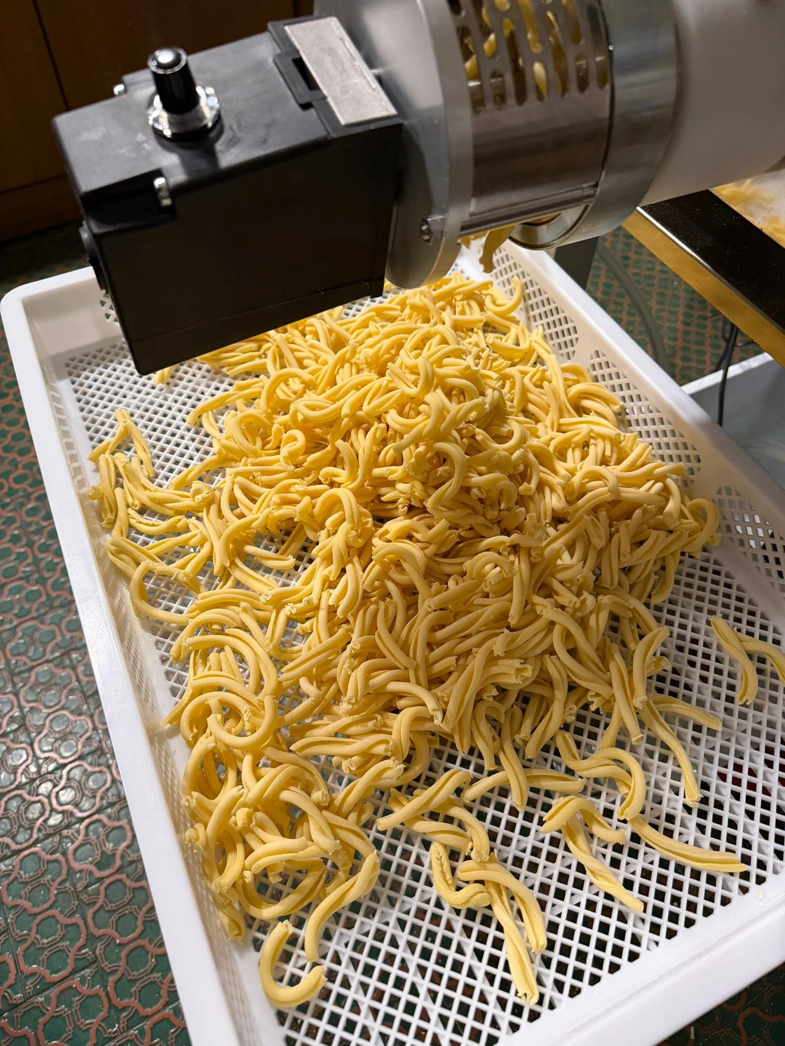 Casarecce appena estruse pronte per l'asciugatura Casarecce appena estruse pronte per l'asciugatura