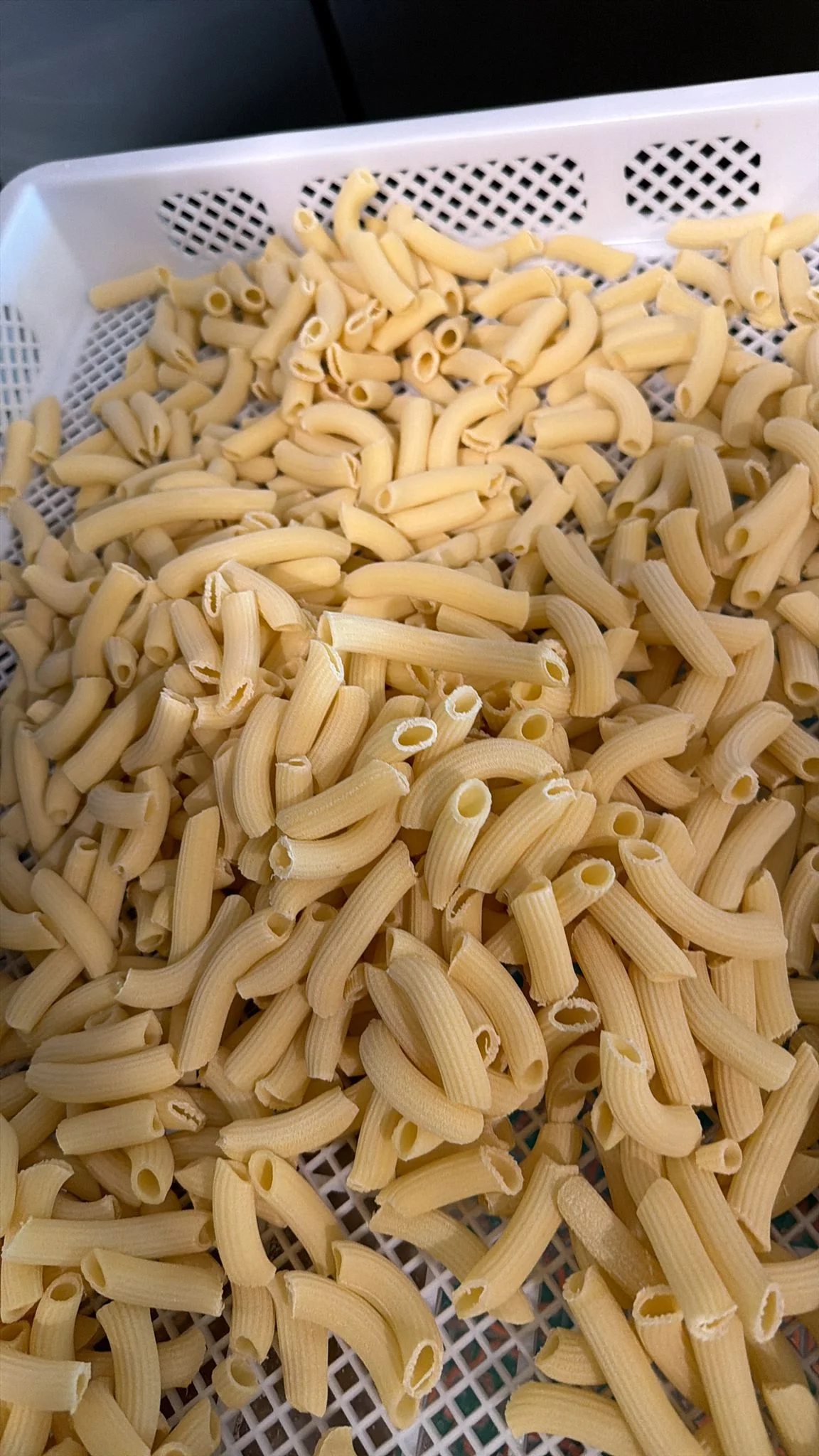 Vassoio di maccheroncini freschi in asciugatura Vassoio di maccheroncini freschi in asciugatura